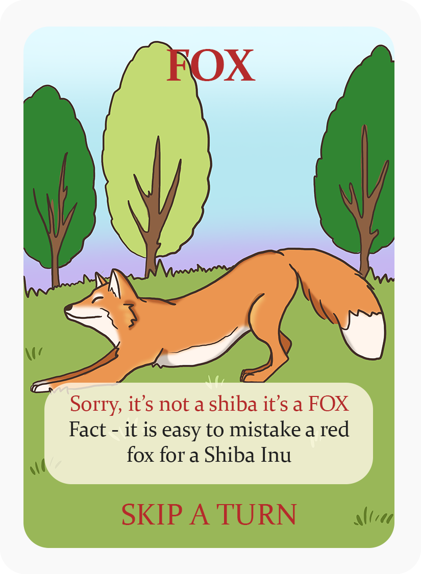 A fox who looks almost the same as the Shiba Inu dog